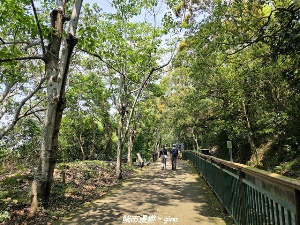 【台中外埔】外埔水流東桐花步道3046219