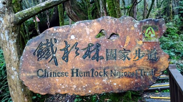 太平山（翠峰,茂興,鐵杉林,見晴）1097225