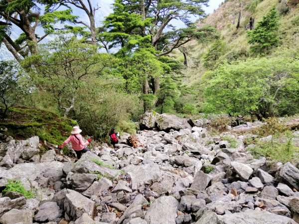 漫漫石瀑~一段考驗毅力與耐力的天堂路。編號69百岳~玉山前峰743946
