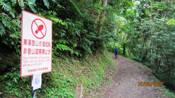 東眼山森林園區-東滿步道4.2K三岔路往返1858939