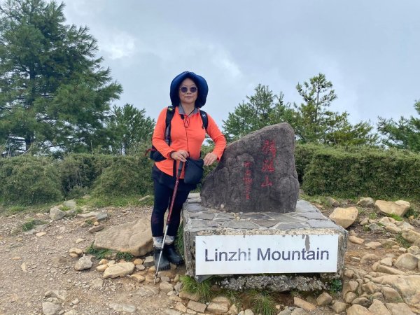 塔塔加黑森林2668051