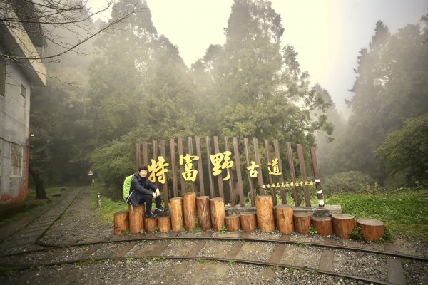 特富野古道590479