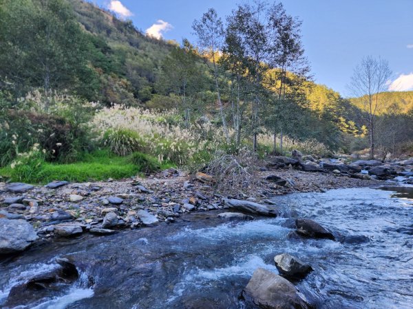 【中級山縱走】羅馬縱走，走進神木的夢幻童話森林世界2943267