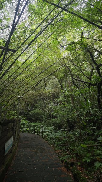 2025-0512內湖到中社2784799