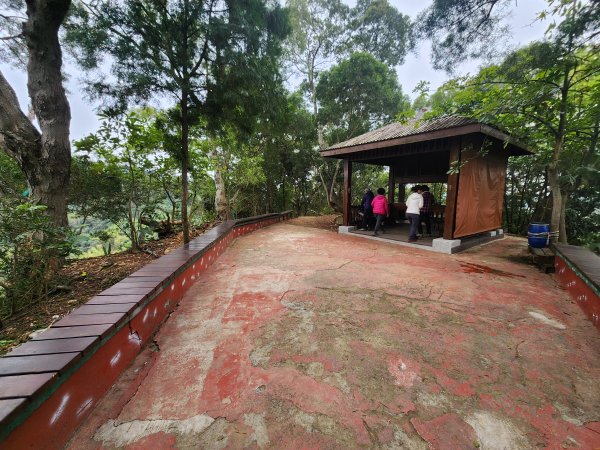 20250223田中大小劍與橫山2939826