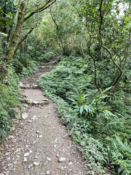 步道巡訪員│聖母山莊登山步道二月份巡訪851609