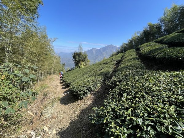 鹿谷小半天七連峰2992094