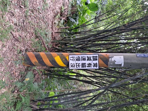 2026微笑山線鳶山彩壁段3104231