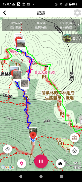 擎天崗草原2678802