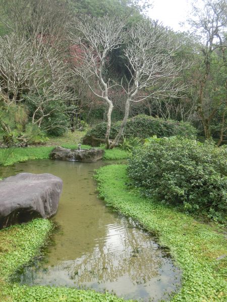 遊園旅夢—南園266847