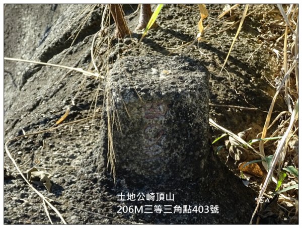 土地公崎頂山(嘉義-番路)1573451