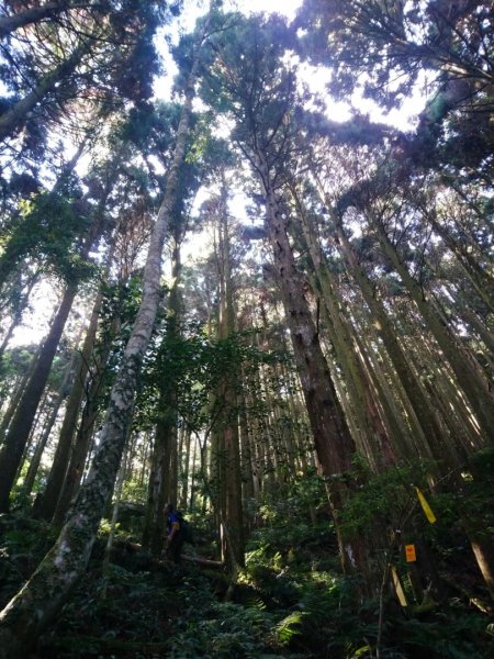 哈加縱走（哈堪尼山、加里山）1051328