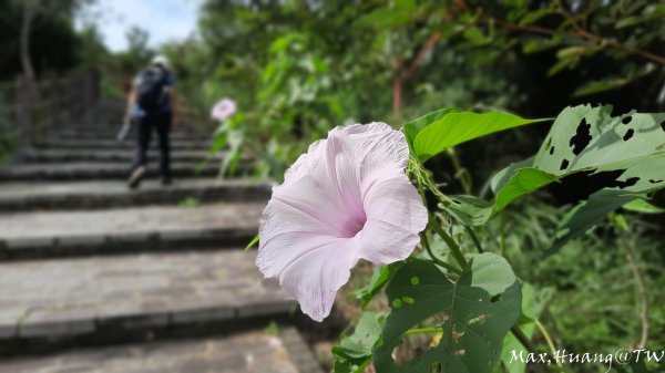 《苗栗》遺落莊園｜墨硯山步道O繞202310222322870