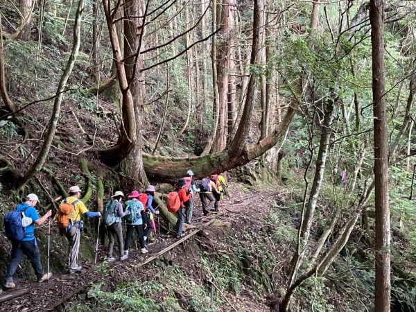 加里山P縱202506222818631