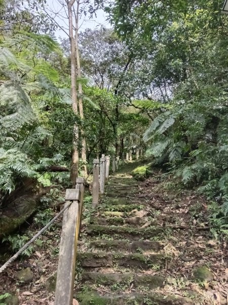 大尖山櫻花-龍船洞-秀峰瀑布2733727