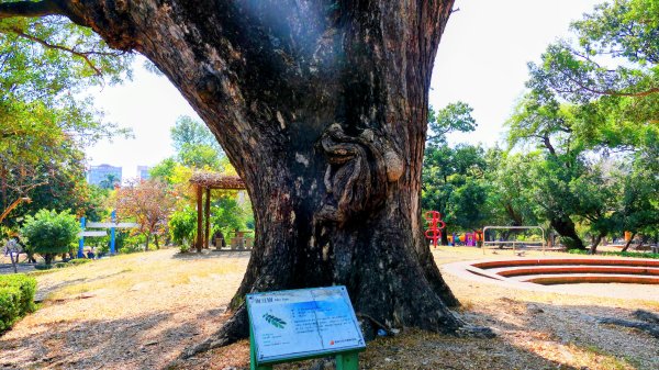 台南成大等3002054