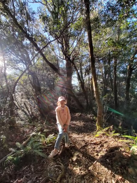 2024.12.01塔曼山2799657