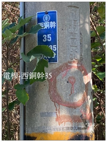 將軍山 (苗栗市)2691223