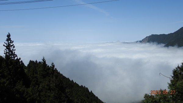 太平山之望洋山&觀雲步道之雲海+觀音圈5/282163471