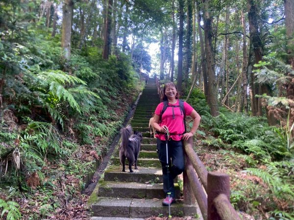 苗栗縣獅潭鄉鳴凰古道O型縱走2803690