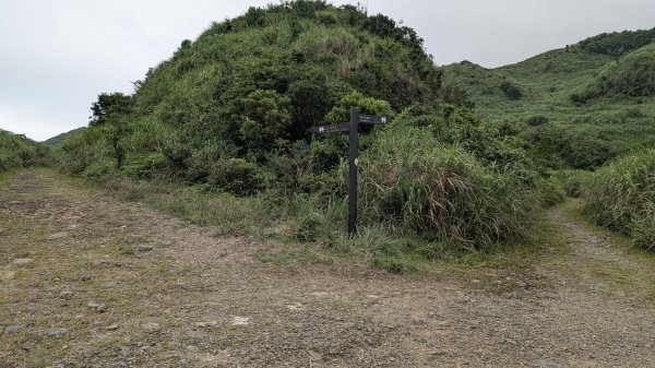 115.05.31燦光寮古道-草山-不厭亭之旅3067269