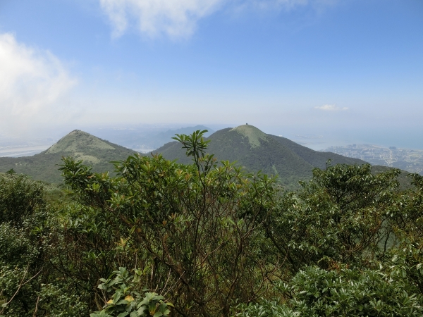 大屯坪．大屯山主峰94886