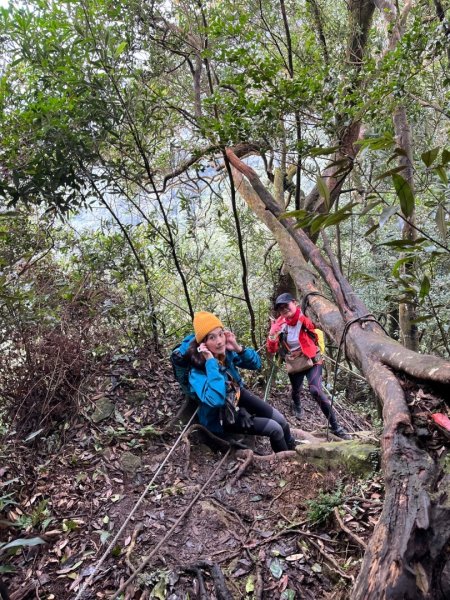 【苗栗郊山聖稜線】仙神象18連峰大縱走2675988