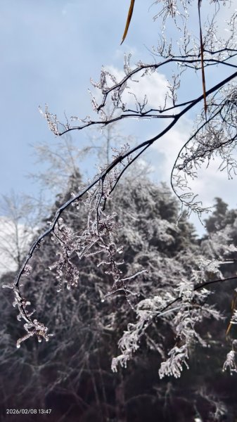 #霧淞 #雲海 #雲瀑 #霧虹 #太平山 #望洋山 #觀雲步道 #翠峰道路  2/82995356