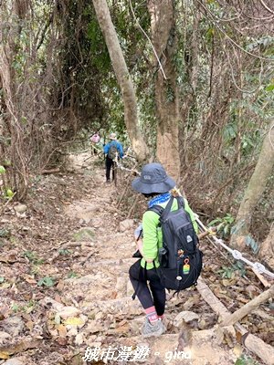 【屏東來義】小百岳棚集山x棚集下山O 繞3013098