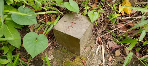 20220521_劍潭山1715689