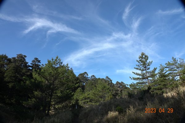 南投 仁愛 武法奈尾山2133756