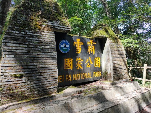 觀霧雲海山林之美2923622