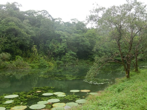 福山植物園690974