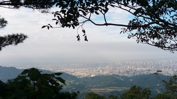 將來爬不動1051202大坑1-5-196277