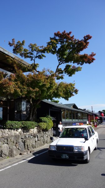 日本京都嵐山651860