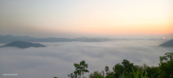 #坪林 #火燒雲 #日出 #雲海 #觀音圈 #金山 #花鳥蝶 6/3&4&163068880