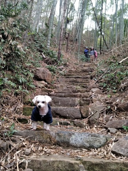 1090128年初四奮瑞古道健走816937