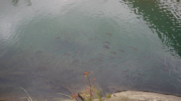 外按古道登山健行趣(淡蘭南路TK3-3)2268978