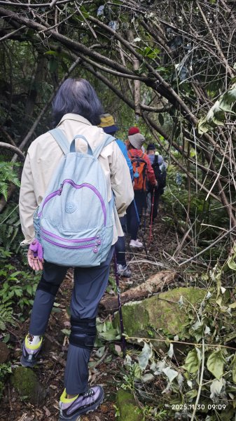 2025-1130 新店三(二)潭縱走2966897