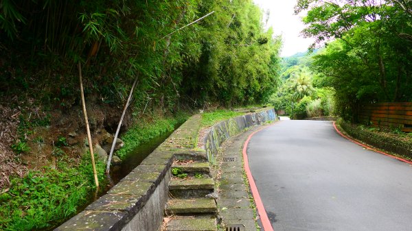 菁礐古圳步道,第51及64番石佛3040734
