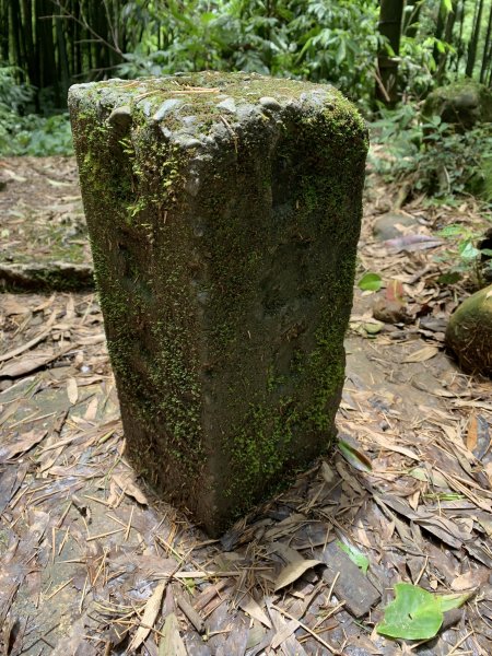 20250614南投南鳳凰山2813242