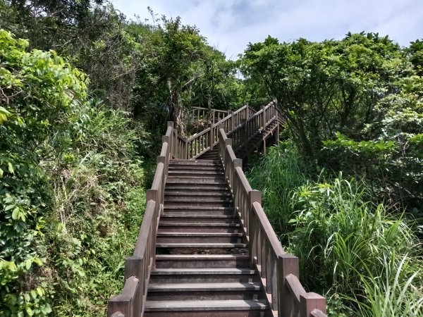 瑞芳區南子吝步道+南子吝稜+南子吝山+南子吝步道P字走2798455