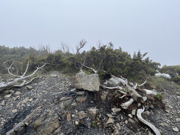 聖稜線I 2023_0524(D2-5) 凱蘭特崑山北峰2166264