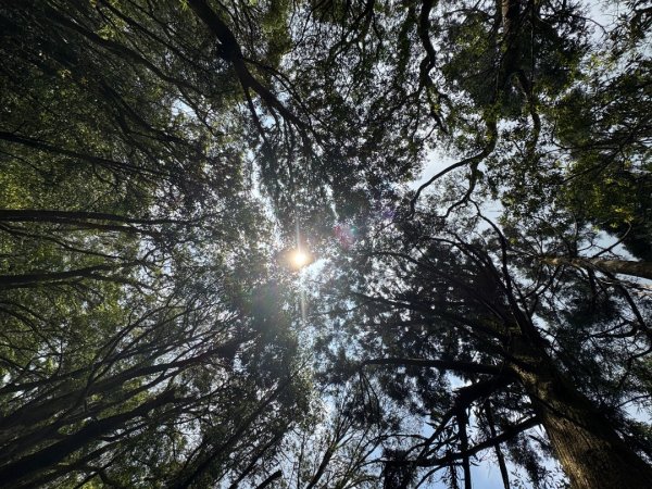 2025/04/04小百岳第022「東眼山」2753253