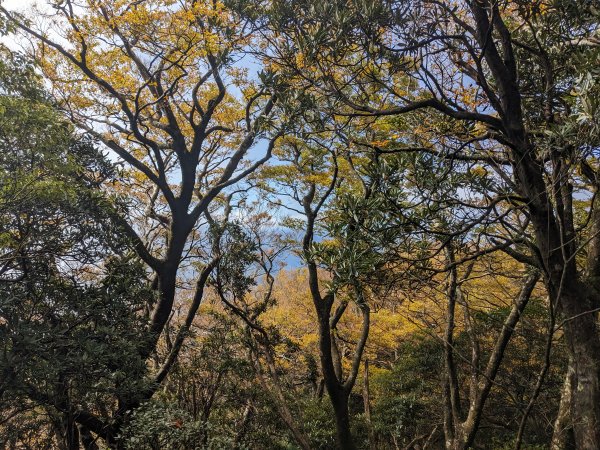 魯培山南插天山2357476