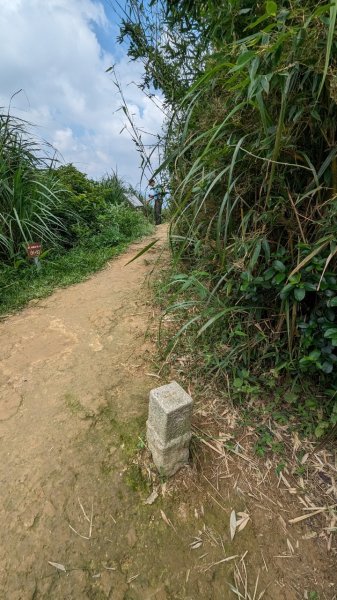 113.06.08阿四坑山-龜公山-牛灶坑山-彰埔坑山2530092