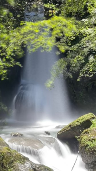 大霸群峰 2025 05/30 三天兩夜2866029