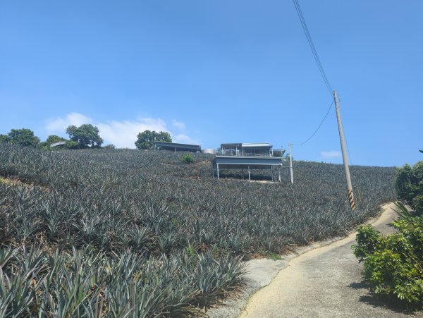 2025.10.05－阿罩霧山、中心瓏步道2908078