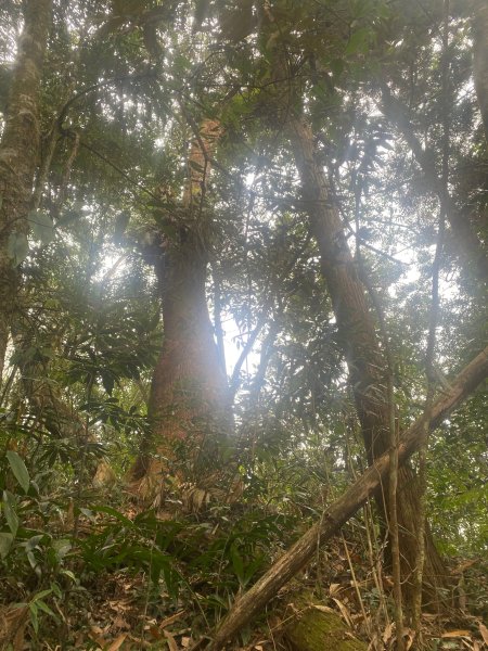 1120329奮瑞古道2643553