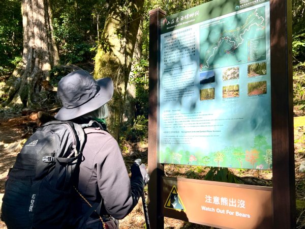 船型山環走大雪山210林道2978016